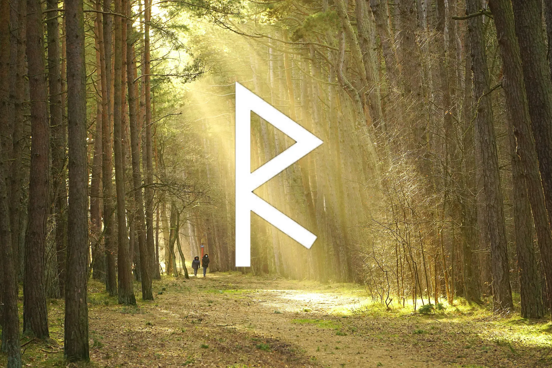 Ce que tu es - Formation Essentielle.